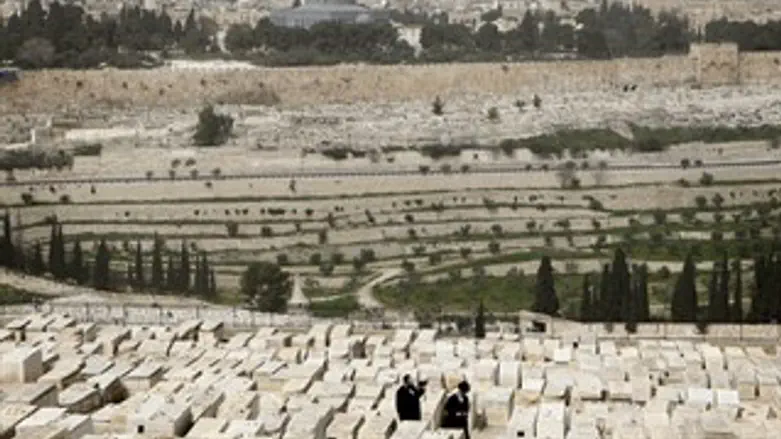 מבט מהר הזיתים אל מקום המקדש