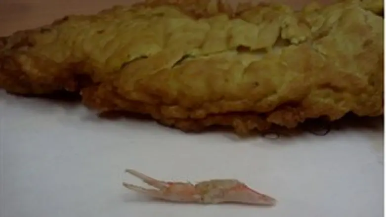 חלק מגופו של הסרטן ליד הדג