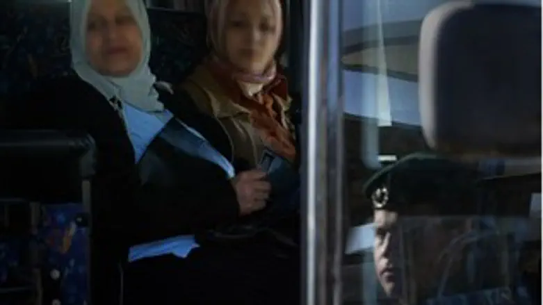 למצולמות אין קשר לכתבה