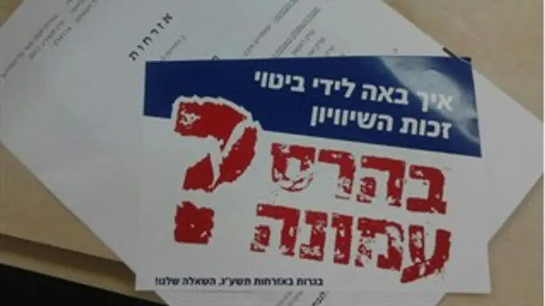 מוחים בבגרות