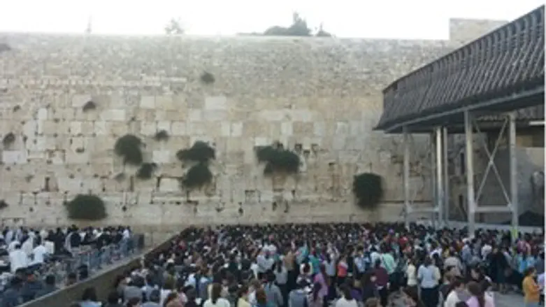 אלפי נשים חרדיות מחו