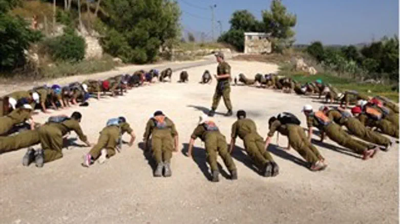 פרוייקט 'חץ וקשת'