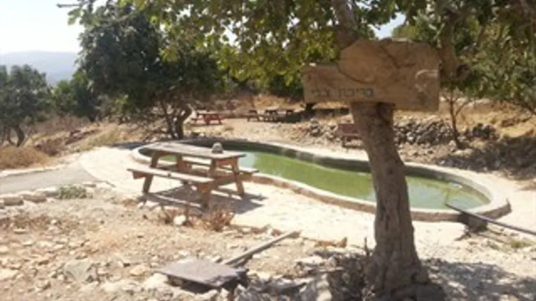 פינת חמד. מעיין עמשא הסמוך להר ברכה