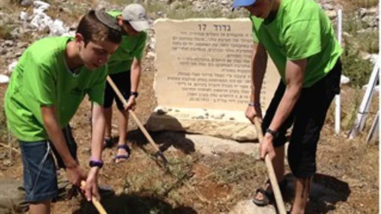 מנקים את האנדרטה