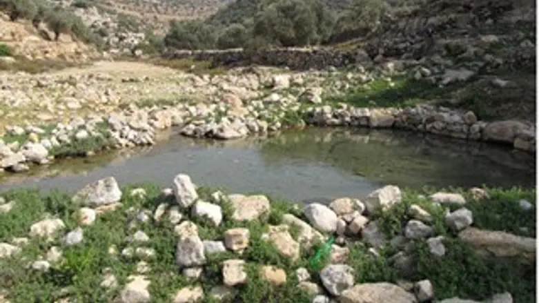 ואדי אל חכים