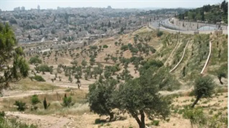 עמק צורים