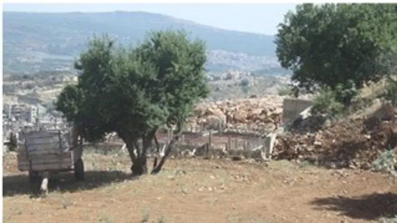 תכנית מתאר עצמאית... שמורת הר חרמון