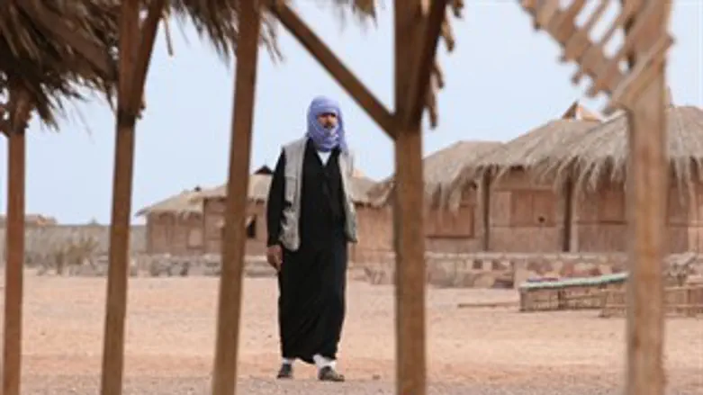 חוזרים לעשות סדר בסיני