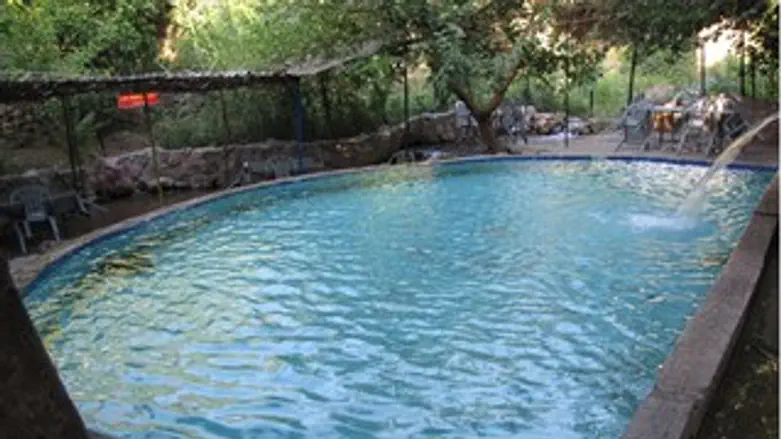 עיינות בידאן