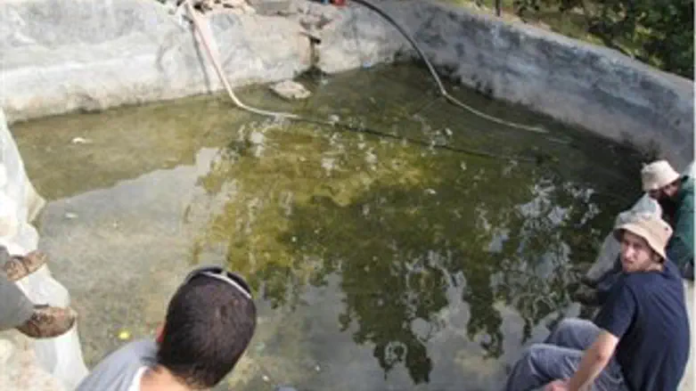 מים מרעננים. ביר אדווה