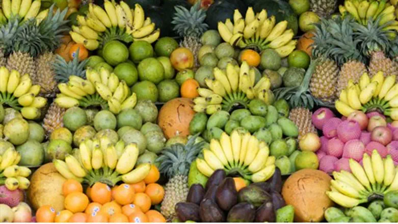 פירות - מרעננים את הקיץ