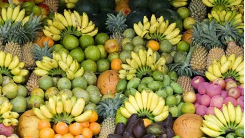 Fruits