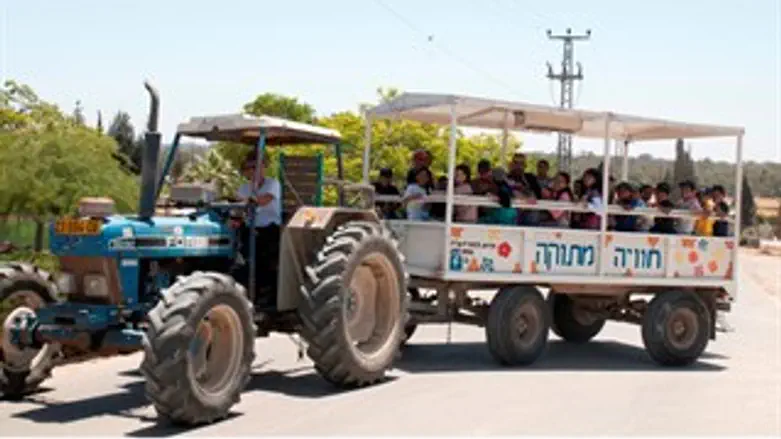 פסטיבל הדבש