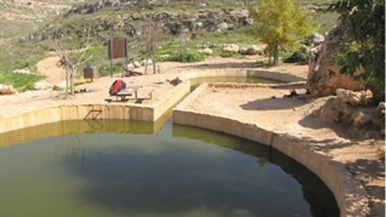 מעיין עין עוז