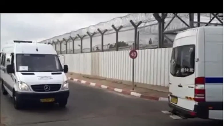 Подготовка к освобождению террористов