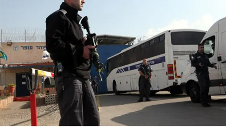 Освобождение террористов. Архив