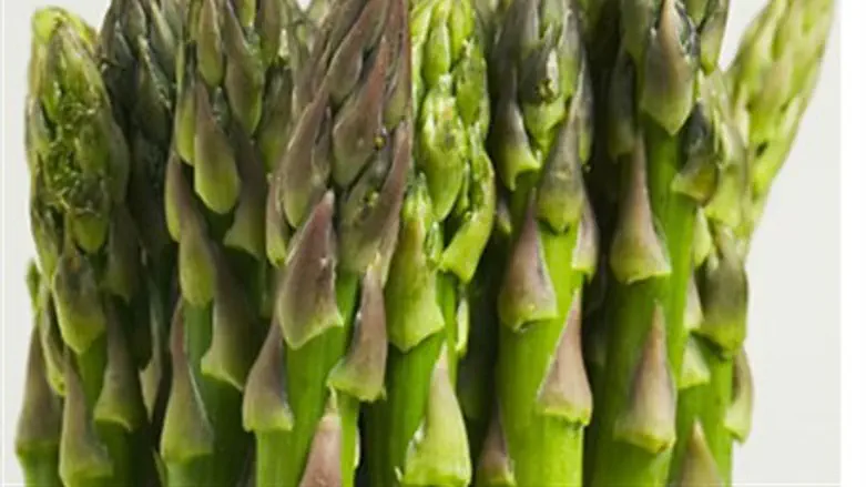 Asparagus