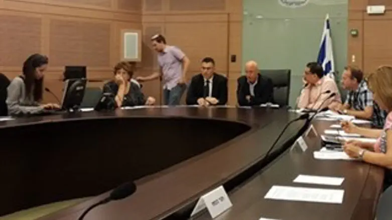 השר סער בדיון הועדה היום