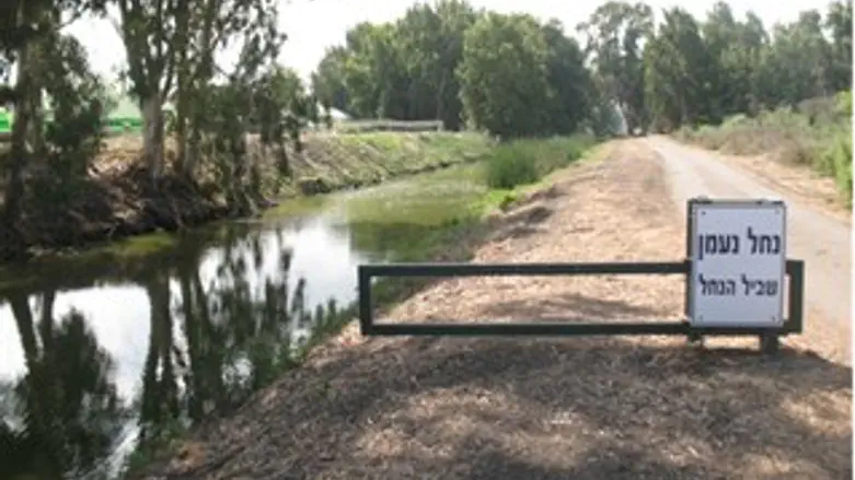 תיירות בעליה