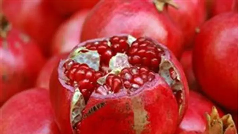 [pomegranates