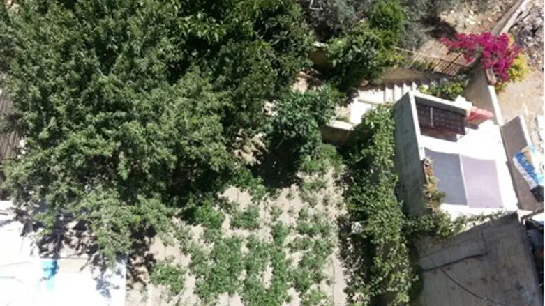 Двор "дома Махпела", вид сверху