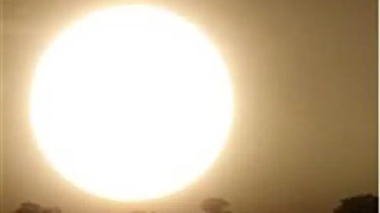 Знойное солнце