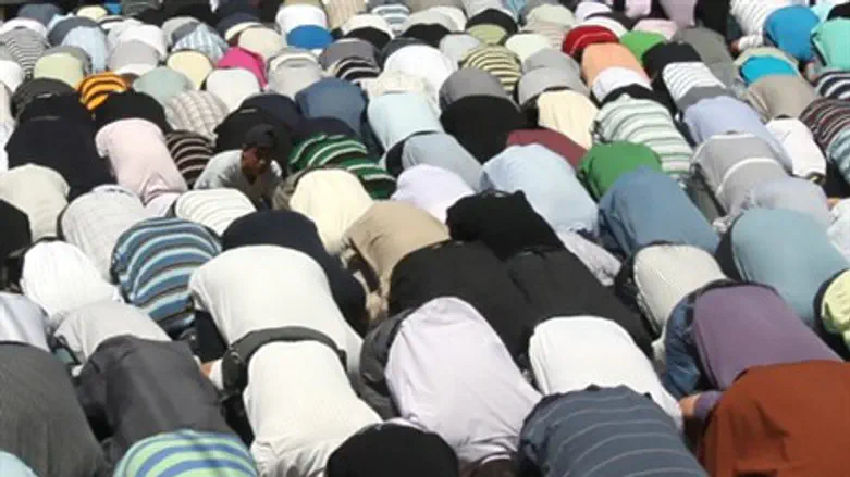 Islamic law on the rise :illustration