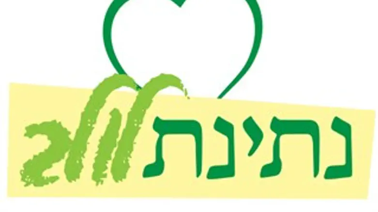 מיזם חברתי לחג הסוכות: לא נוטלים לולב, נותנים