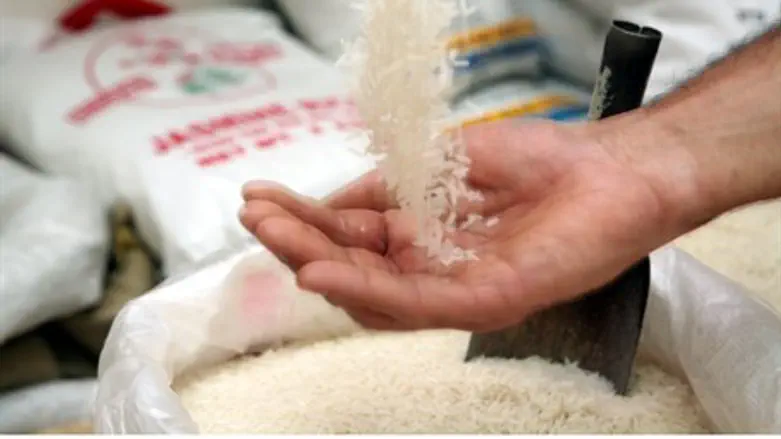 Rice