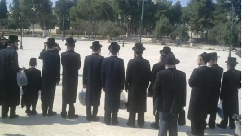 Rabbi Brand and followers on Temple Mount