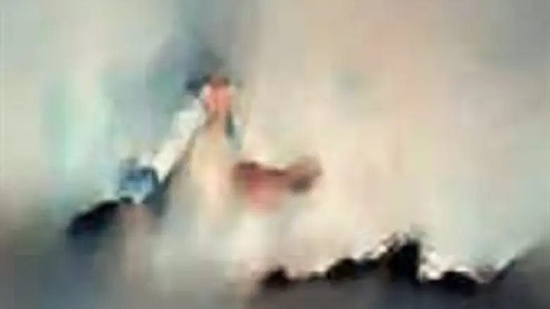 תמונה מתוך התערוכה