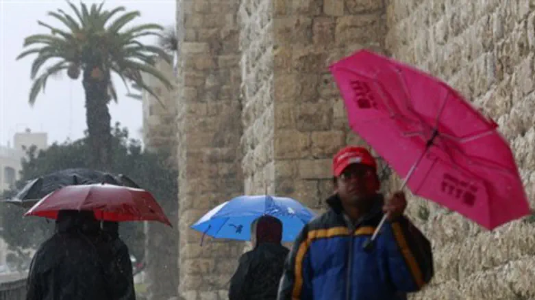 Дождь (Архив)