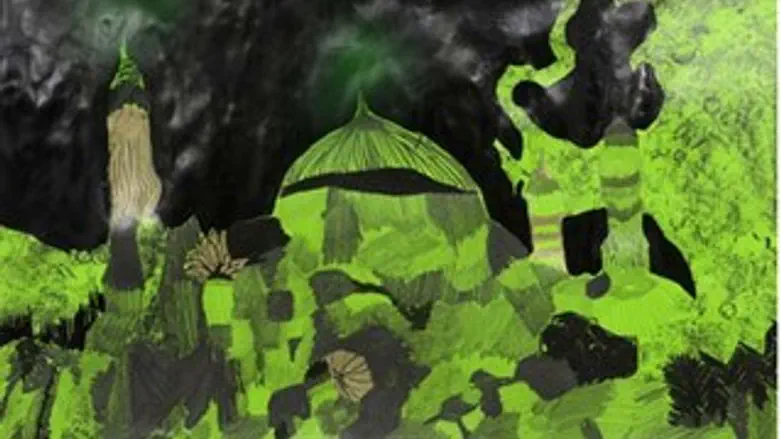 לילות ירוקים