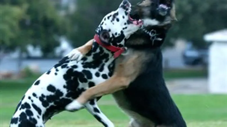 לצאת ממעגל המריבות
