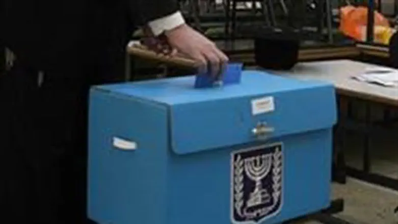 Муниципальные выборы