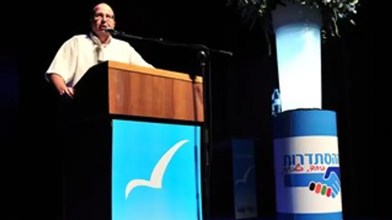 להמשיך בסנקציות על איראן. השר יעלון