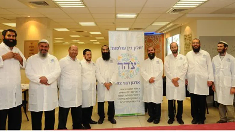 Tzohar Rabbis