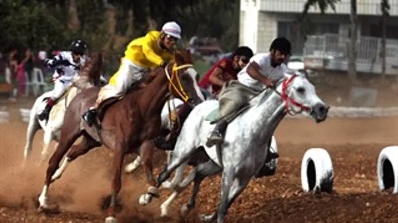 כסף קל. מירוץ סוסים