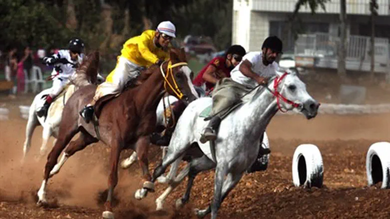 Horse races (Illustrative)