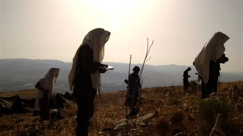 אילוסטרציה