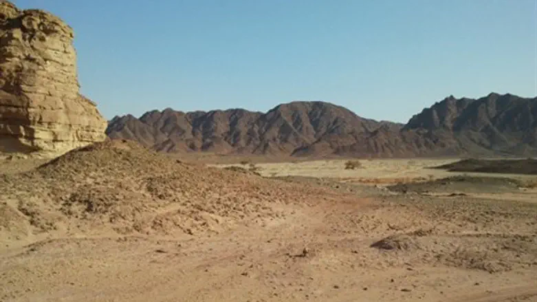 מי אחראי? עמק ססגון