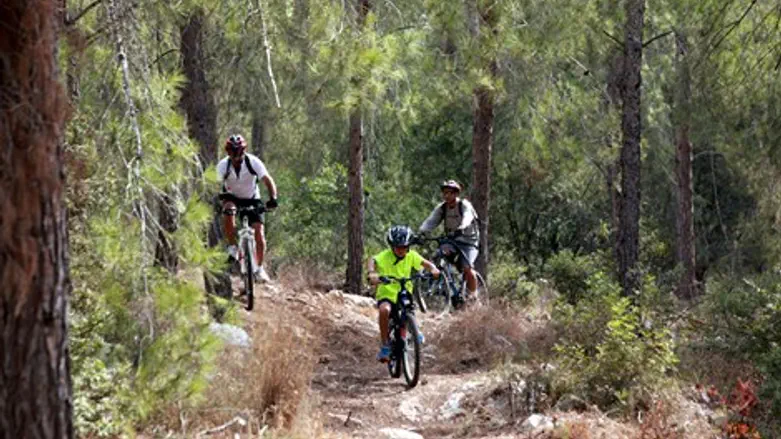 רוכבים ב"סינגל זכריה"