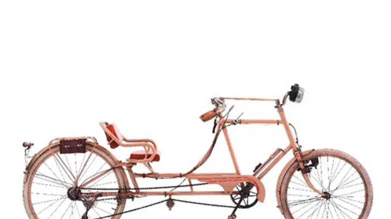 האופניים, על שלל חלקיהם וגלגלי שיניהם, מהווים מרכיב חשוב במכונות רבות של ורדי. אופניים