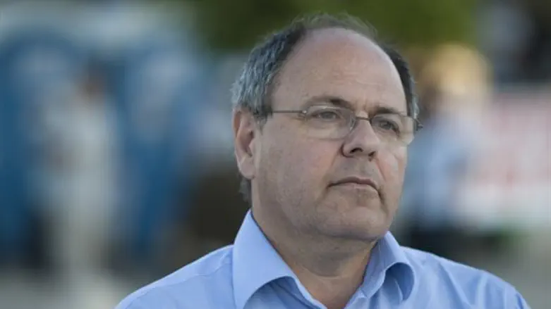 "האיש הנכון בעת הזאת לייצג את ישראל בברזיל". דני דיין