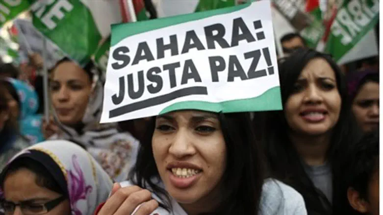 Protest for Western Sahara