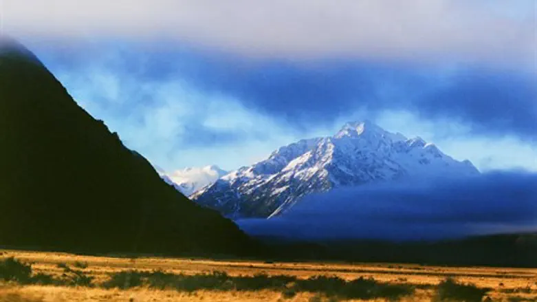מרק חם בניו זילנד