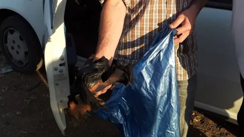 התפילין בידיו של זכי