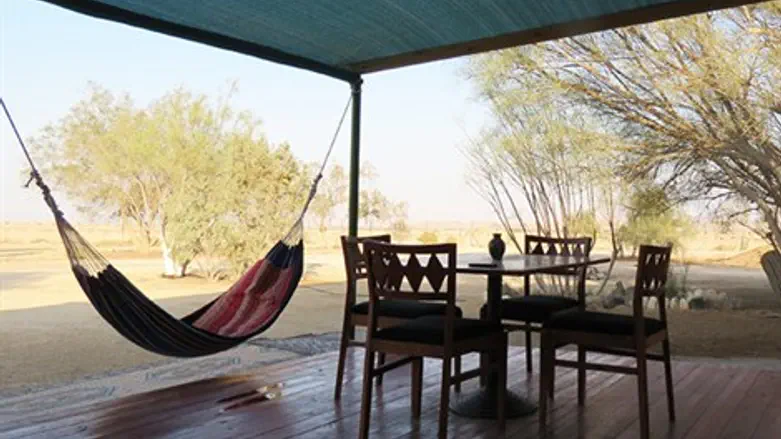 קופונופש - ערבה