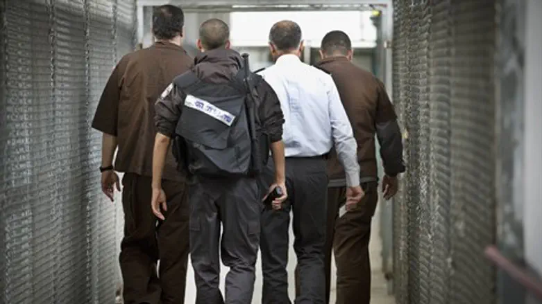 ייבדק שוב. ארכיון