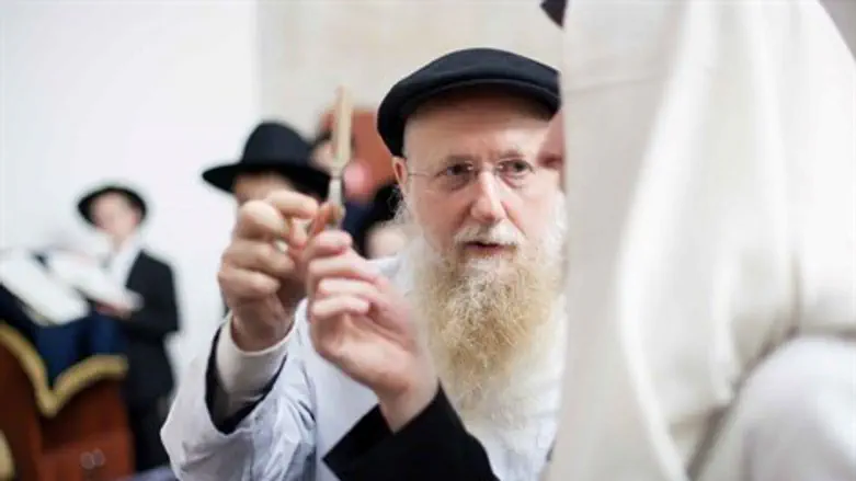 עושה היסטוריה. הרב שאפיט